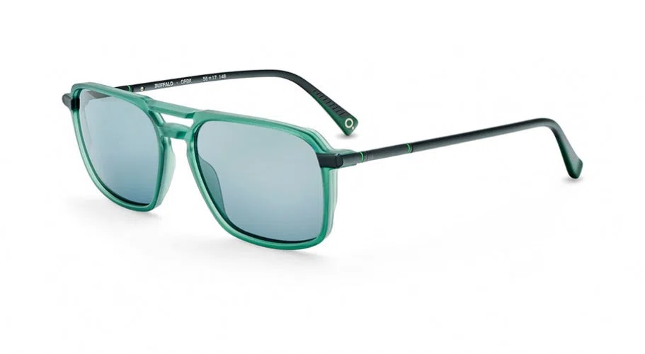 Etnia Barcelona BUFFALO Sunglasses - view 30